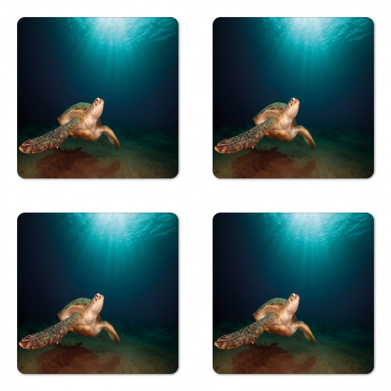 Green Turtle Sunbeam Coaster Set Of Four