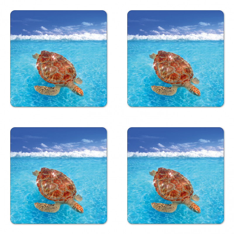 Chelonia Water Surface Coaster Set Of Four