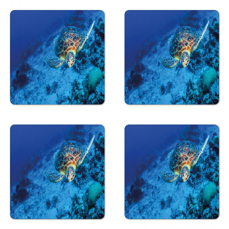 Oceanic Wildlife Coaster Set Of Four