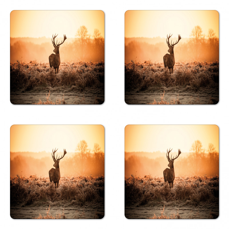 Deer Morning Sun Coaster Set Of Four