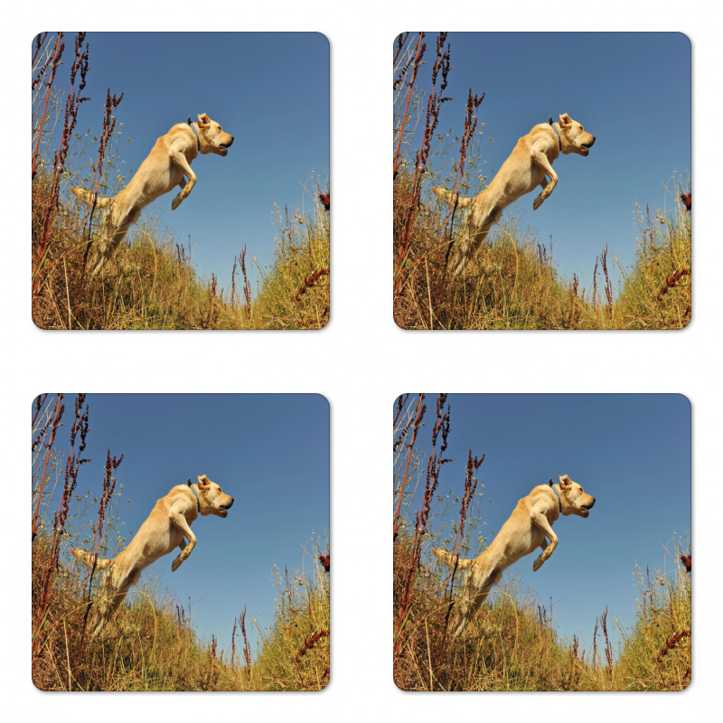 Purebred Labrador Coaster Set Of Four