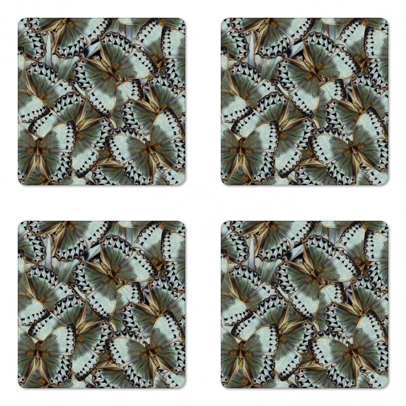 Butterflies Jungle Queen Coaster Set Of Four