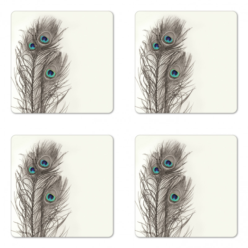 Feathers of Exotic Bird Coaster Set Of Four