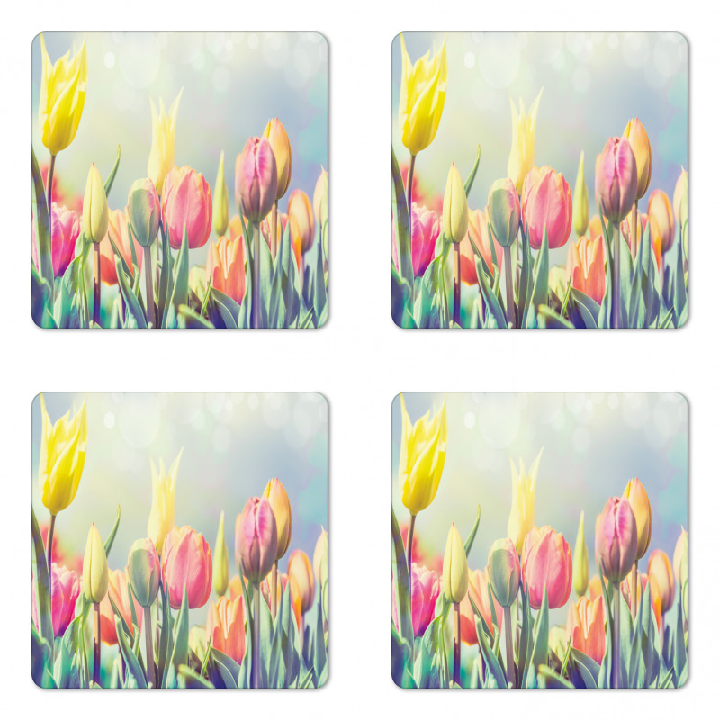 Tulips Flower Bed Park Coaster Set Of Four