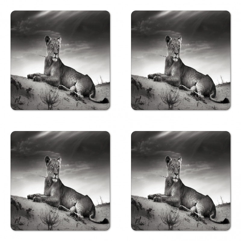 Wild Lioness Coaster Set Of Four