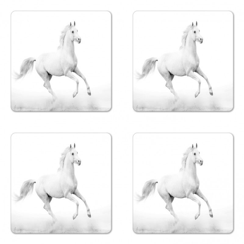 White Stallion Coaster Set Of Four