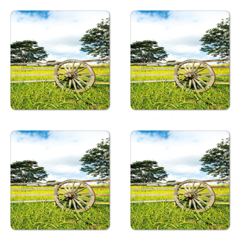 Green Meadow Coaster Set Of Four