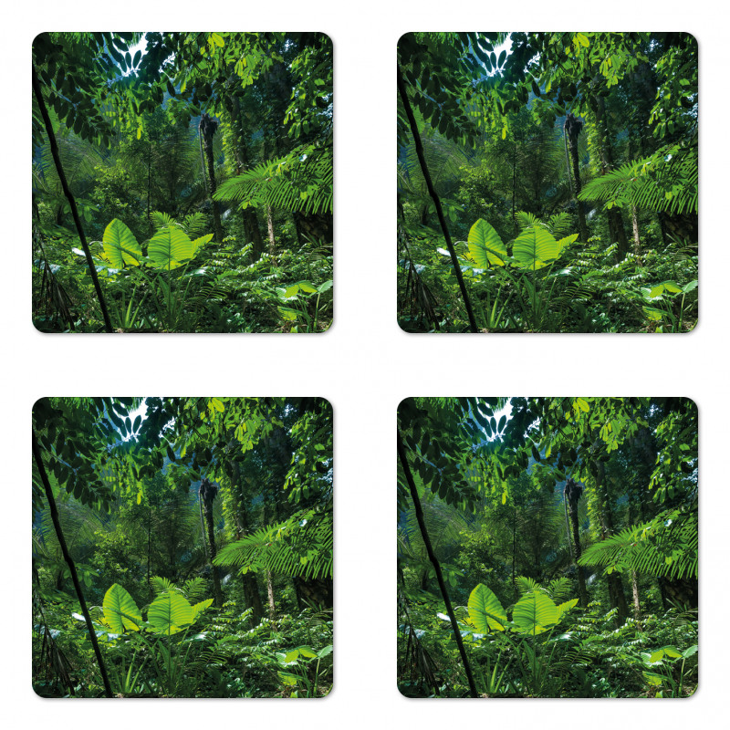 Green Untouched Nature Coaster Set Of Four