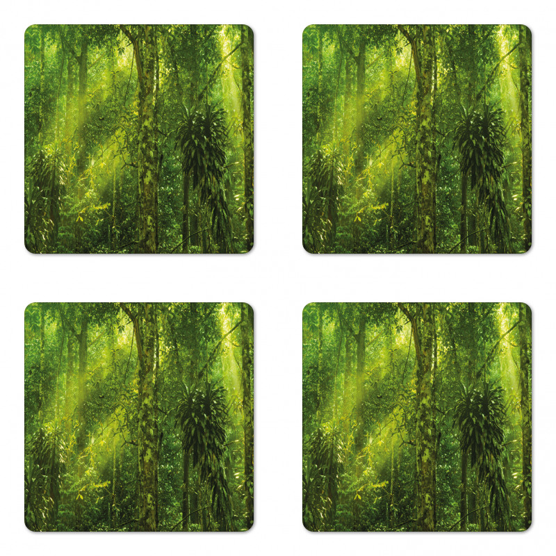 Tranquil Exotic Place Coaster Set Of Four