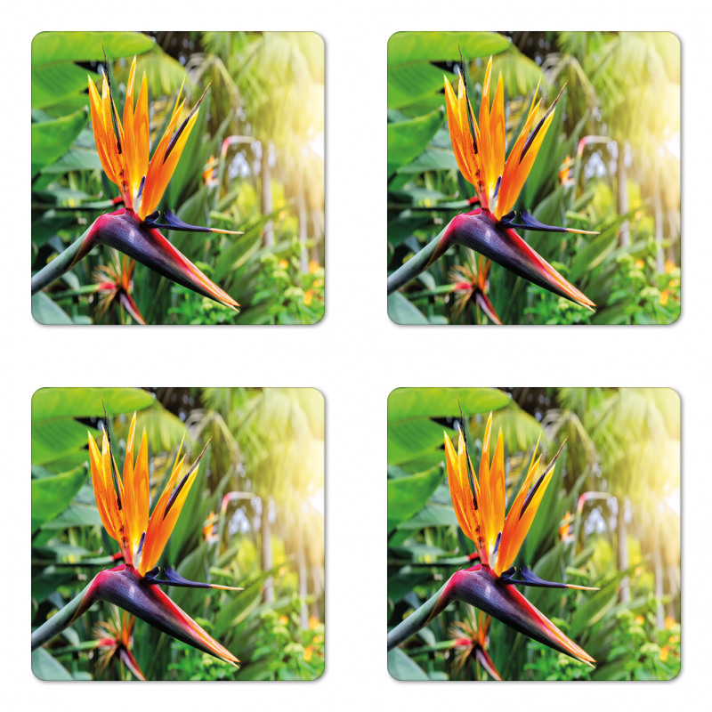 Bird of Paradise Flower Coaster Set Of Four