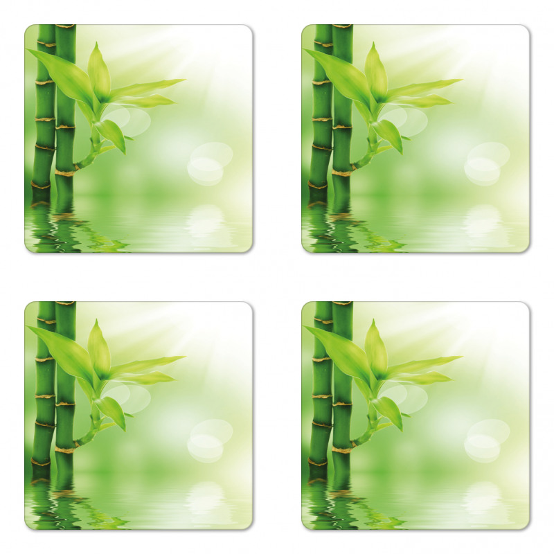 Bamboo out of Water Coaster Set Of Four