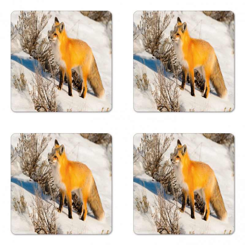 Red Fox in Snowy Nature Coaster Set Of Four