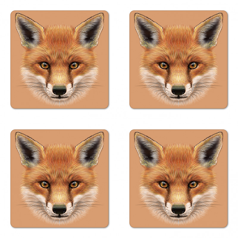 Fluffy Face Forest Coaster Set Of Four