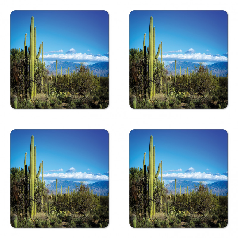 Tucson Countryside Cacti Coaster Set Of Four