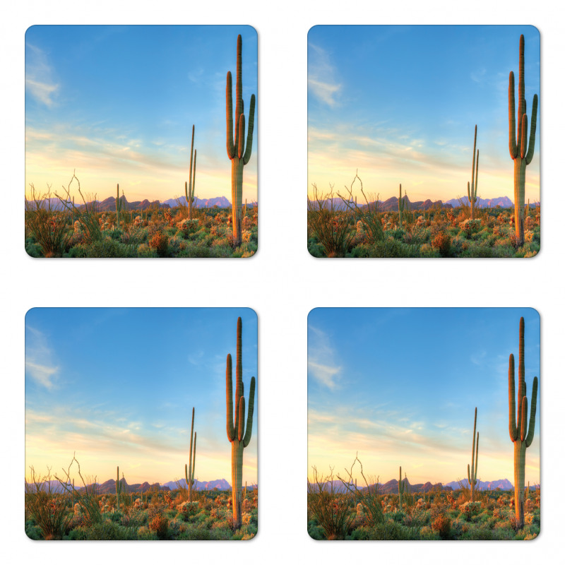 Sonoran Desert Sunset Coaster Set Of Four