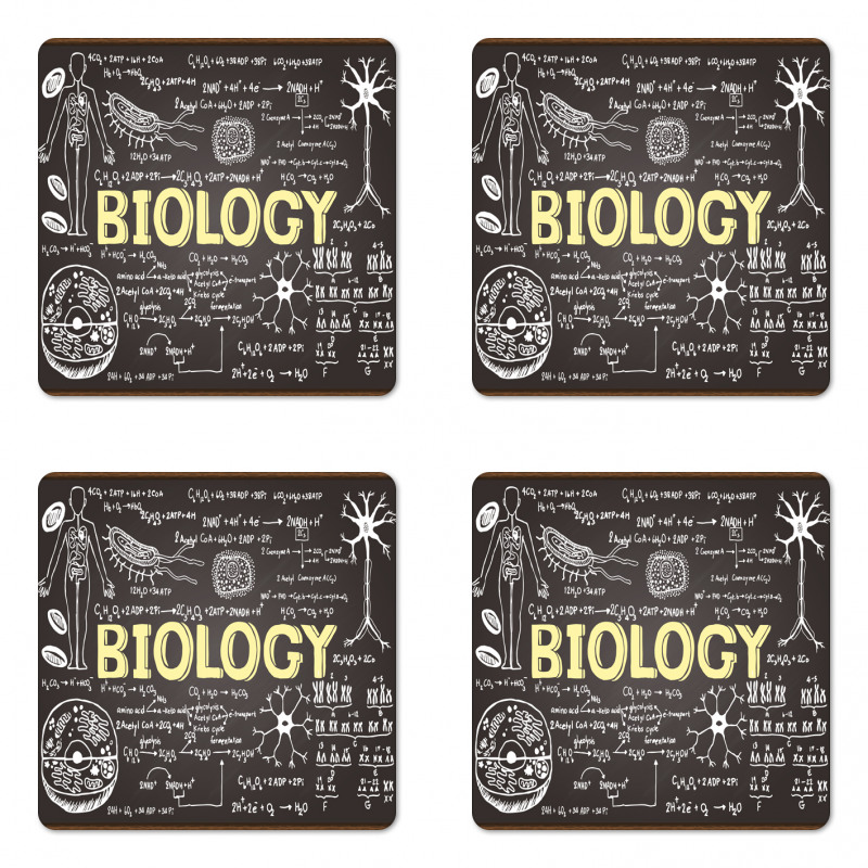 Biology Coaster Set Of Four