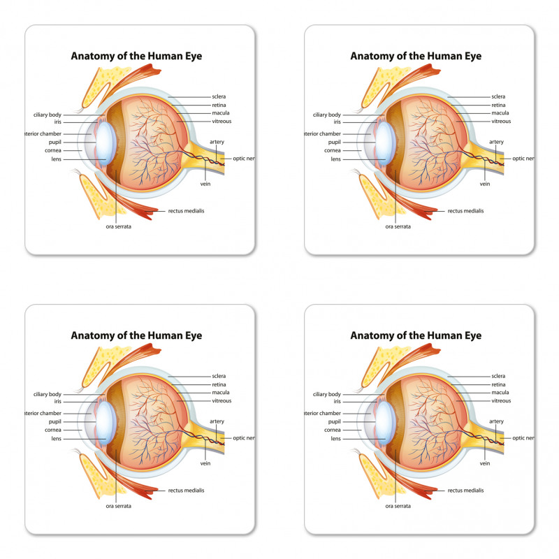 Eye Cornea Pupils Coaster Set Of Four