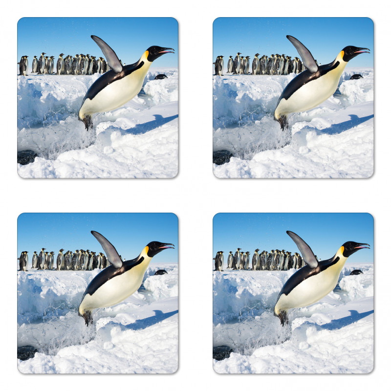 Detailed Arctic Photo Coaster Set Of Four