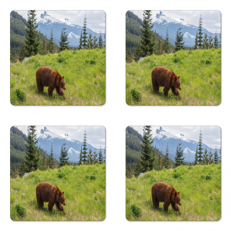 Fur Animal Nature Habitat Coaster Set Of Four