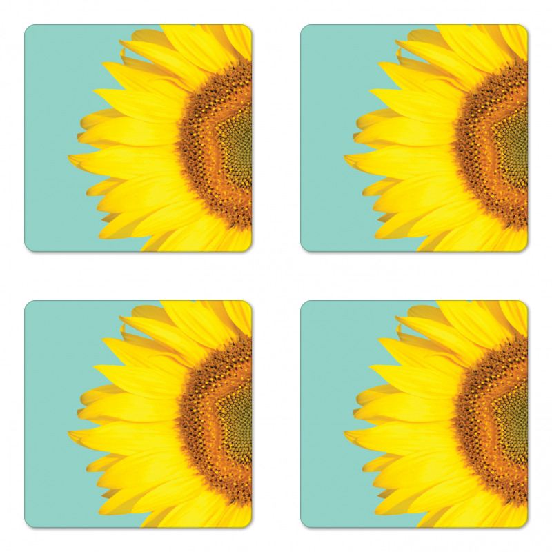 Close up Half Petal Coaster Set Of Four