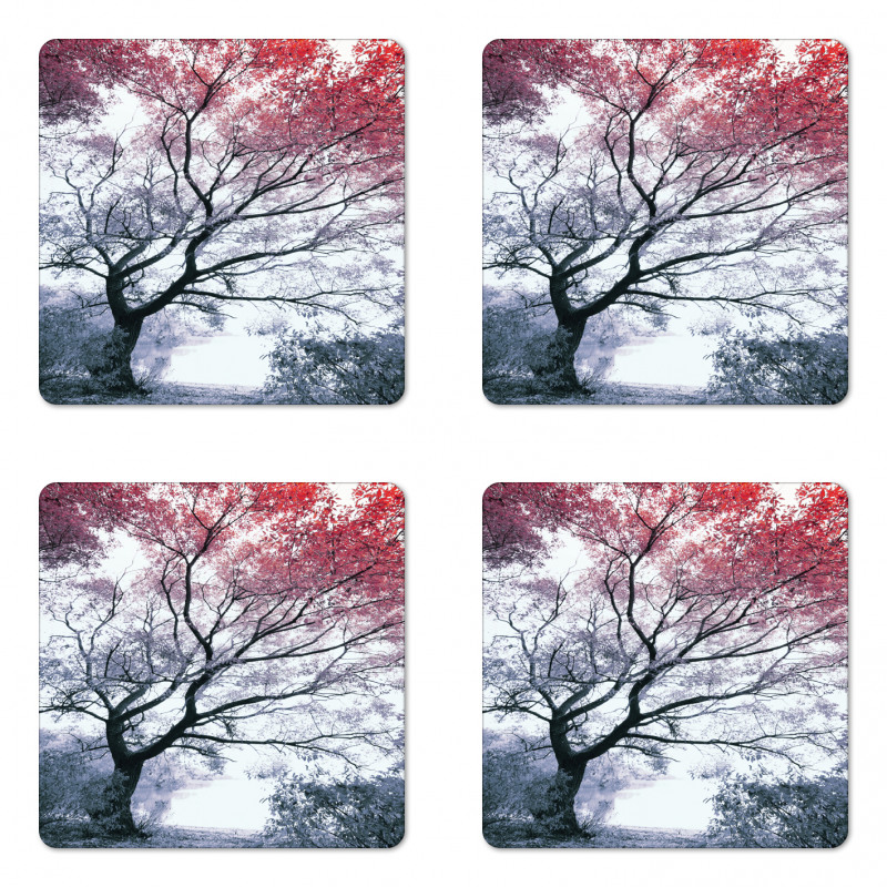 Abstract Colorful Dramatic Coaster Set Of Four