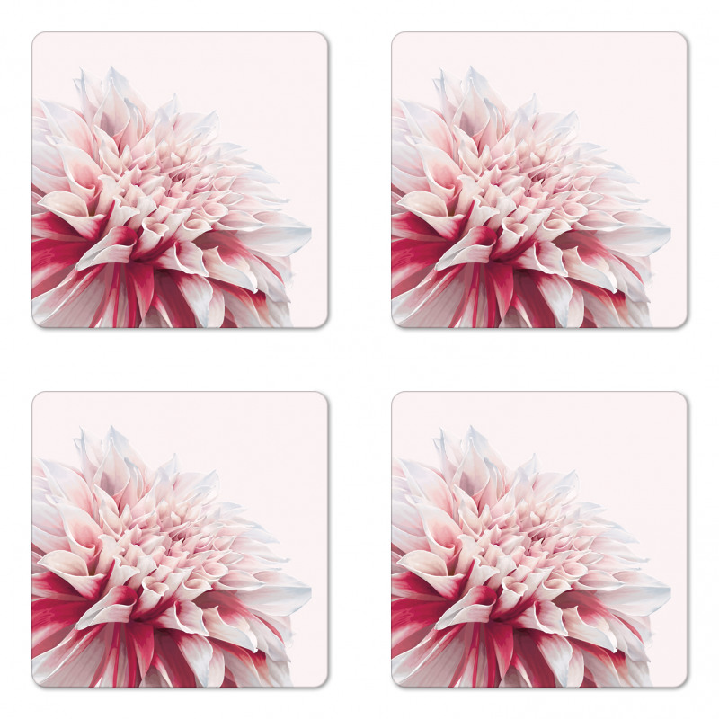 Close up Floral Blossom Coaster Set Of Four