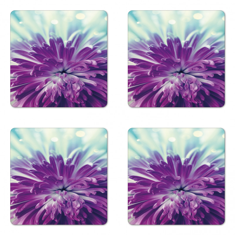 Blooming Floral Motifs Coaster Set Of Four