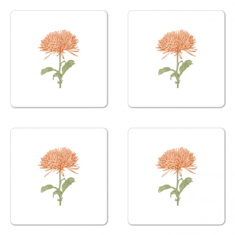 Retro Blooming Nature Coaster Set Of Four