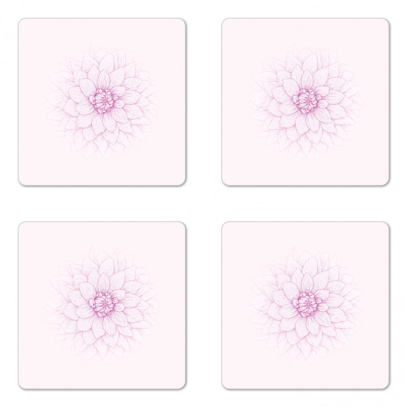 Close up Petal Sketch Coaster Set Of Four