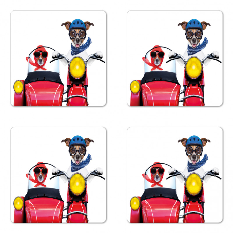 Funny Canine on Bike Coaster Set Of Four