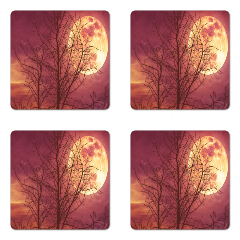 Moon Sky Dead Tree Coaster Set Of Four