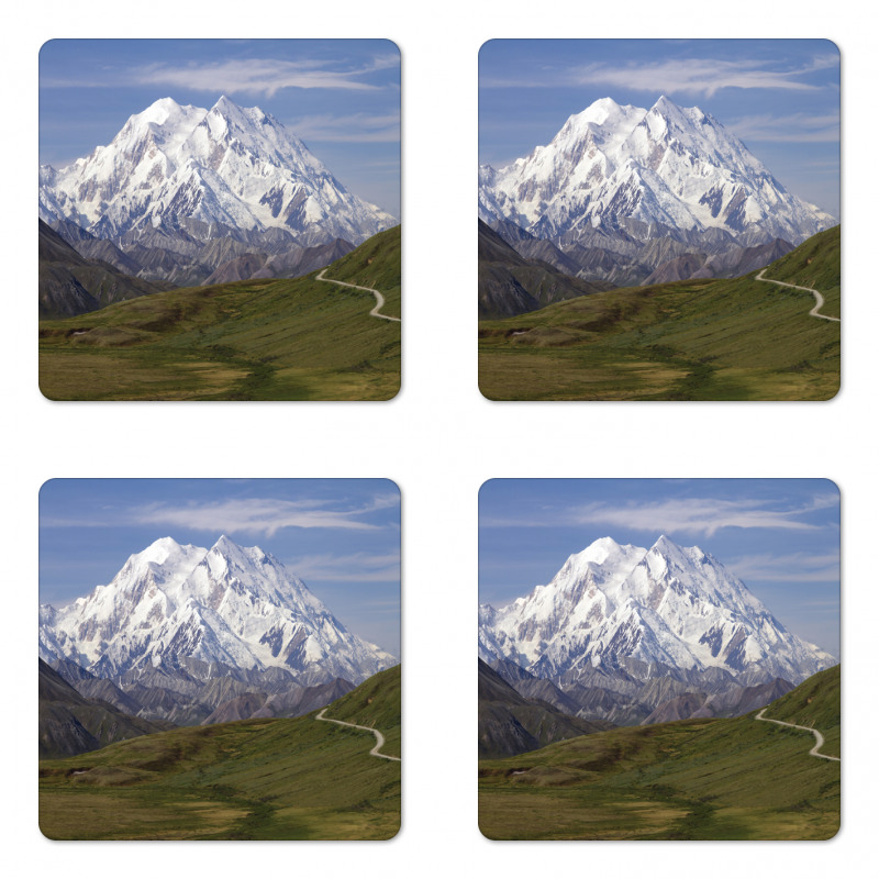 Denali National Park Coaster Set Of Four