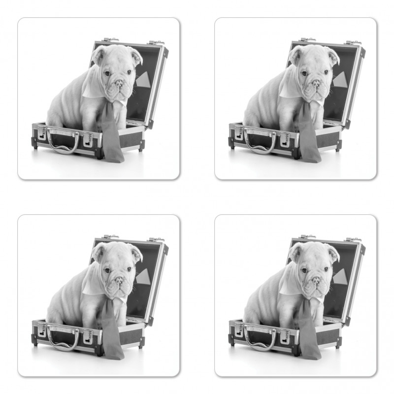 Puppy with Tie Coaster Set Of Four