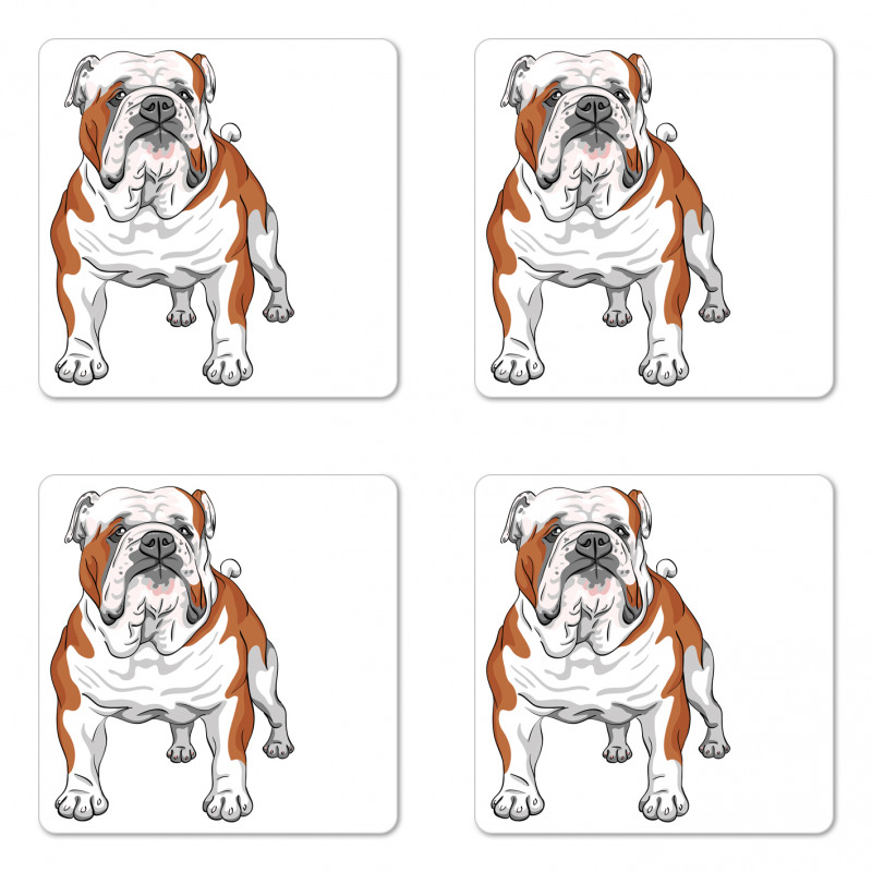 Muscular Dog Coaster Set Of Four