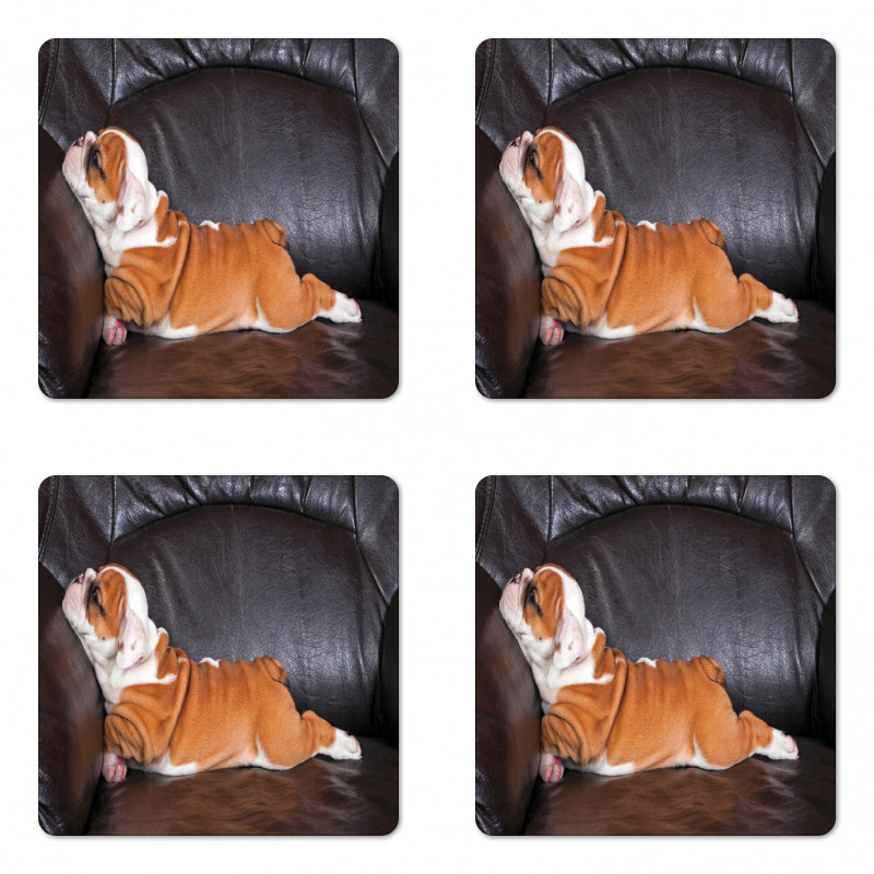 Resting Puppy Coaster Set Of Four