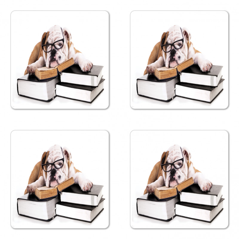 Glasses Dog Coaster Set Of Four