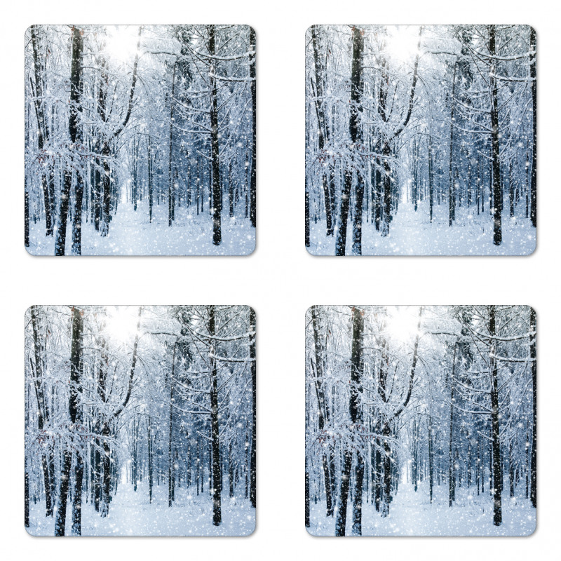 Snow Covered Forest Coaster Set Of Four