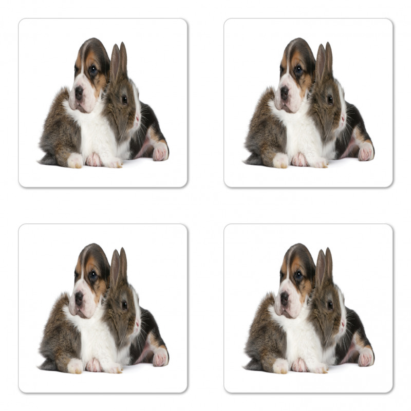 Rabbit Puppy Pet Friends Coaster Set Of Four