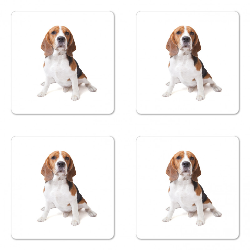 Puppy Dog Friend Posing Coaster Set Of Four