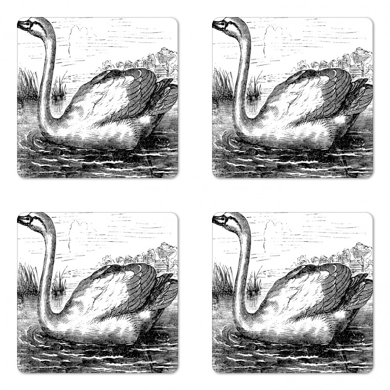 Hand Drawn Swan Design Coaster Set Of Four