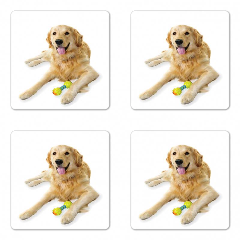 Pet Dog Toy Coaster Set Of Four