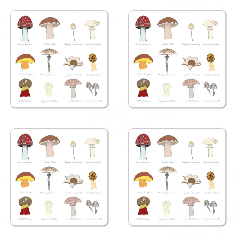 Blusher Boletus Sketch Coaster Set Of Four