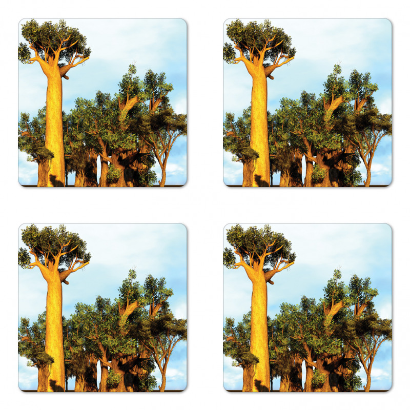 Tropical Baobabs Coaster Set Of Four