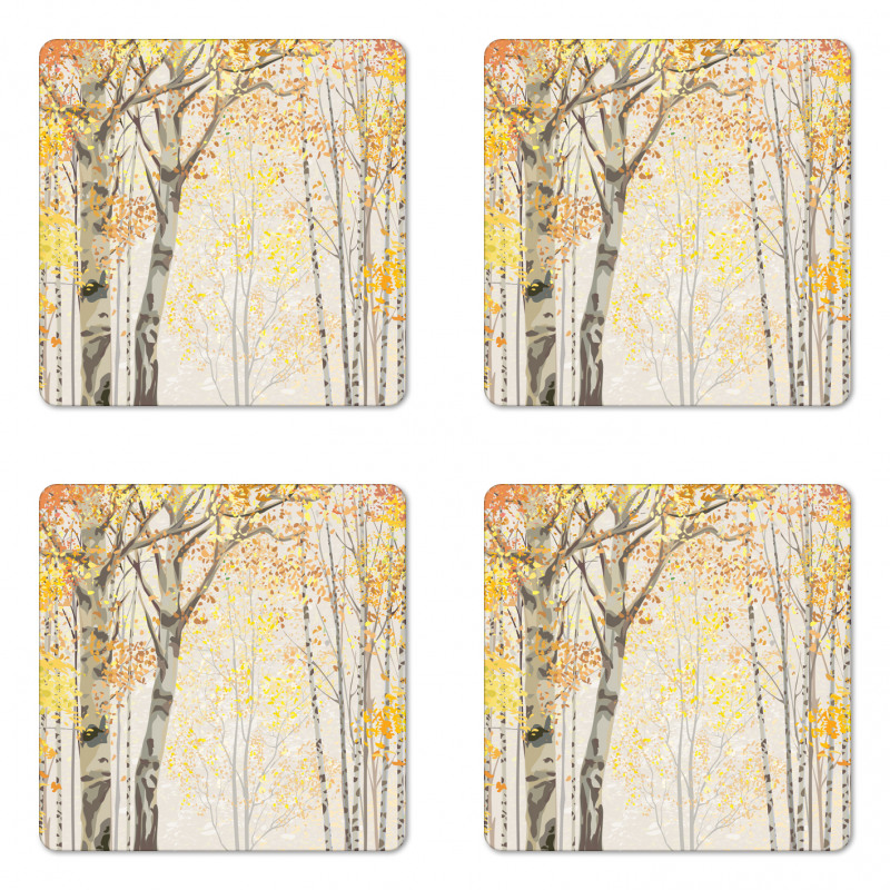 Birch Growth in Fall Coaster Set Of Four