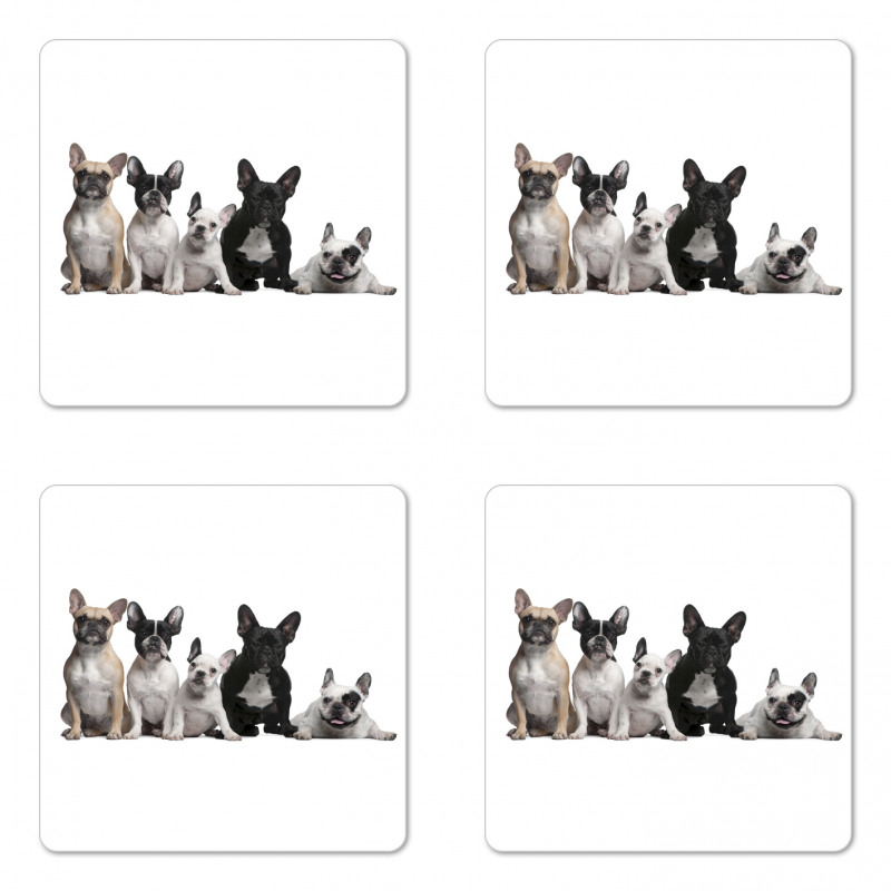 Young Doggies Photo Coaster Set Of Four