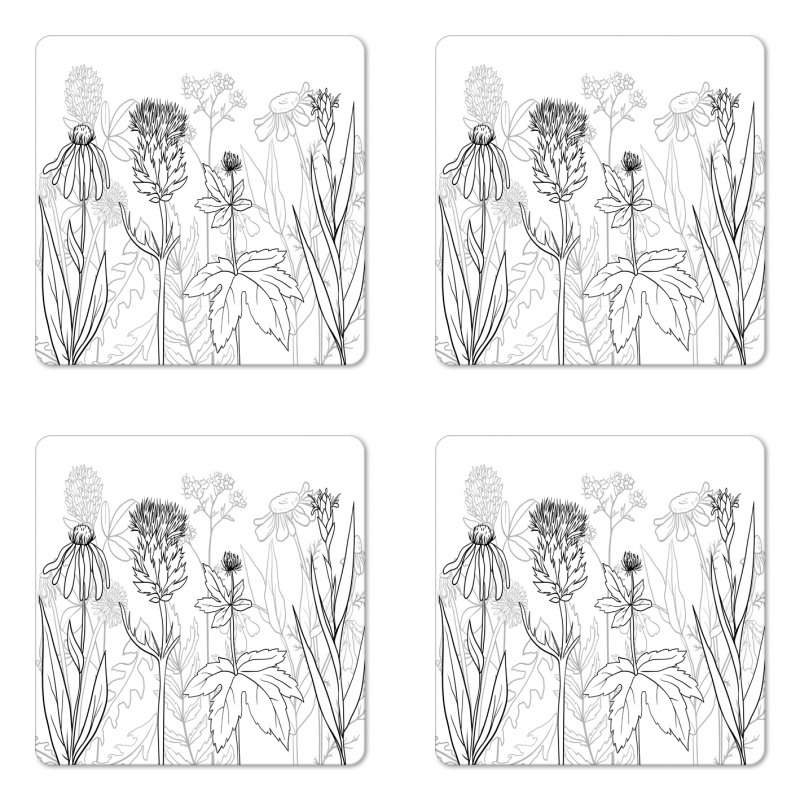 Medical Herbs Pattern Coaster Set Of Four