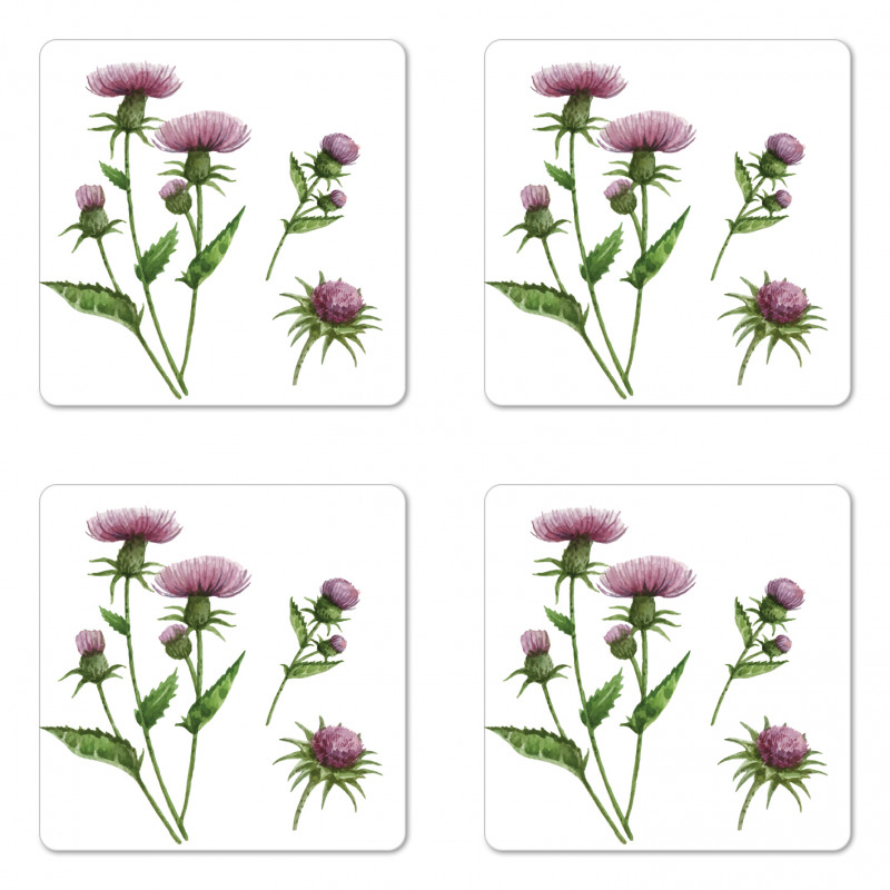 Healing Herbs Concept Coaster Set Of Four