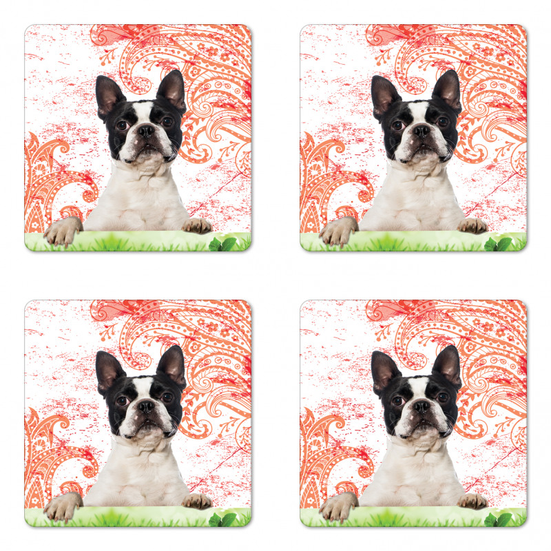 Pet Animal on Swirls Coaster Set Of Four