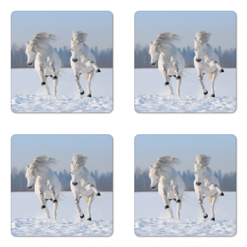 Purebred Horses Wild Coaster Set Of Four