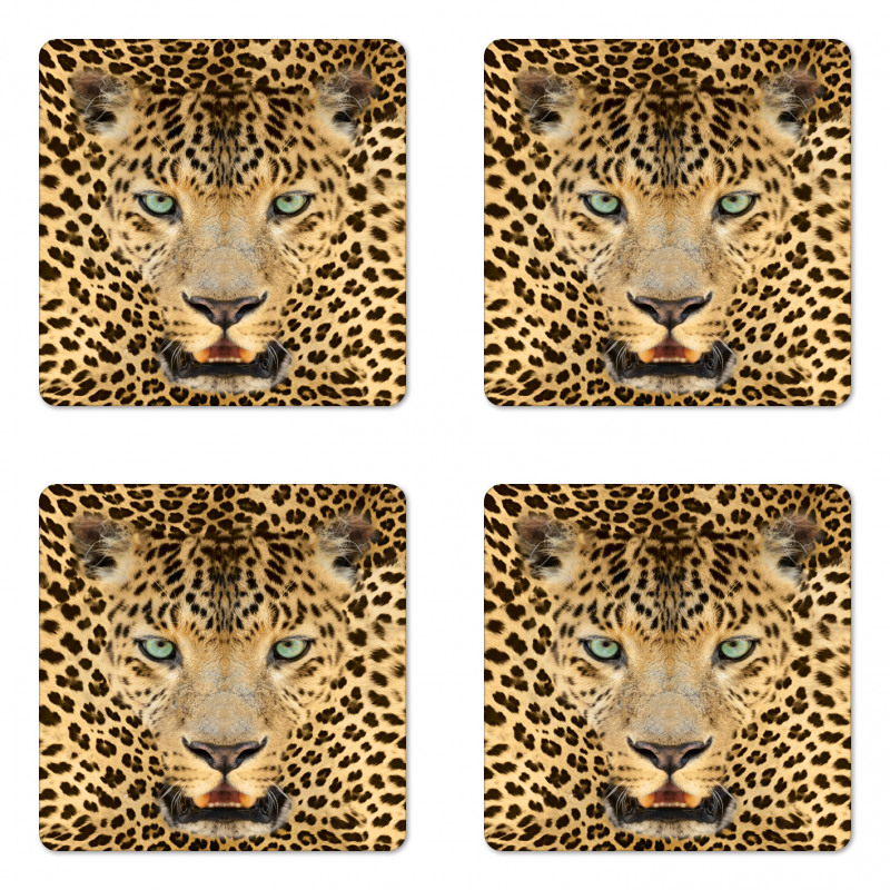 Predator Animal Coaster Set Of Four